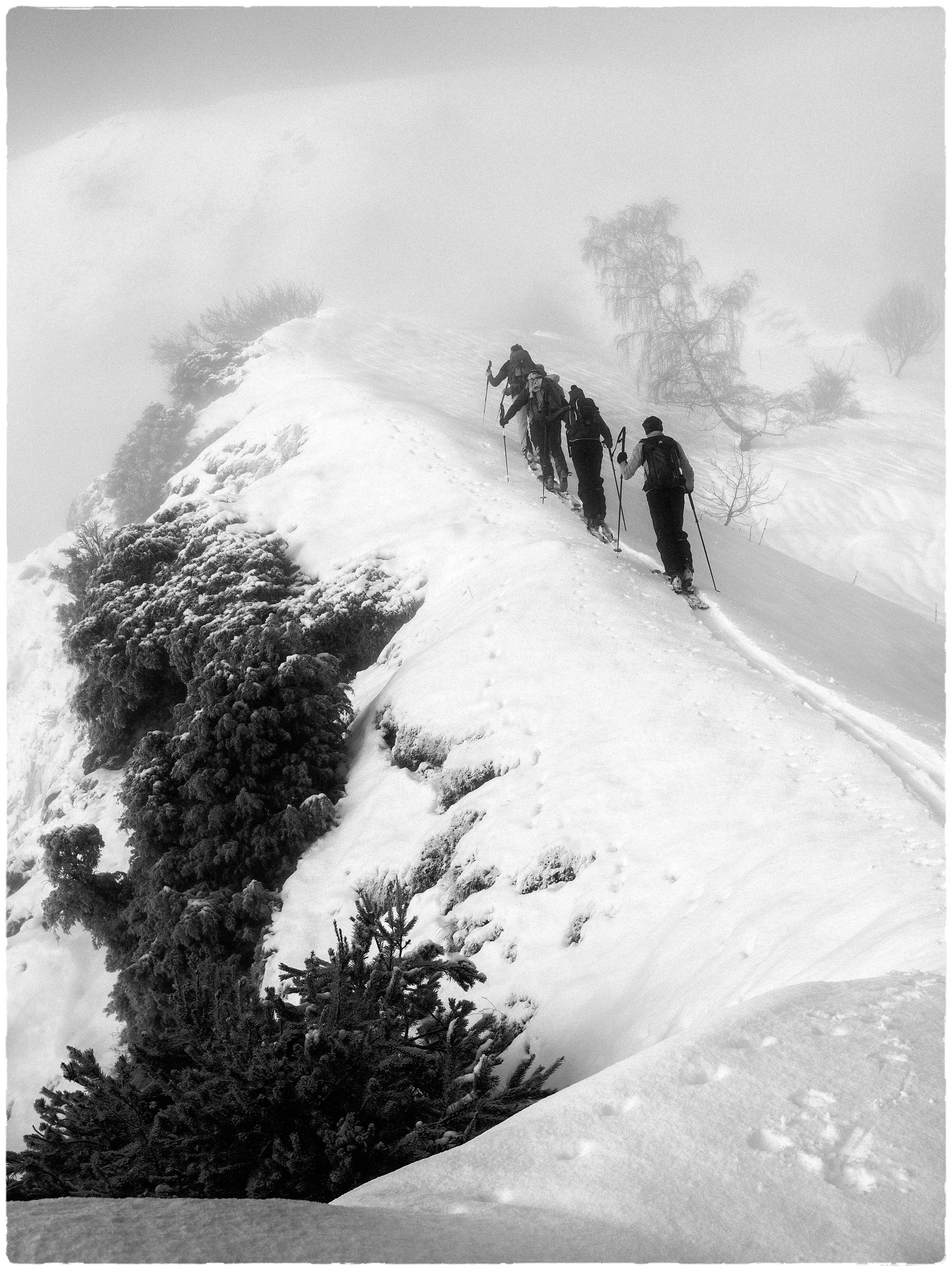 Ski touring climb at "petit Renaud"