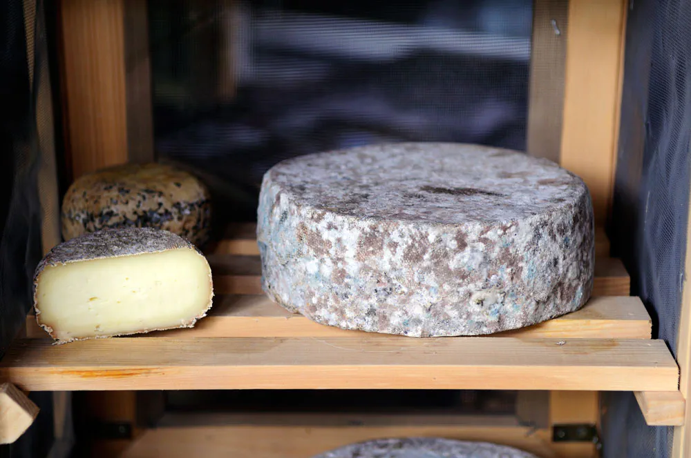 Cheese from "la bergerie de la Lignarre"